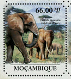 Elephants of Savanna Stamp Loxodonta Africana Wild Animal S/S MNH #4987-4992
