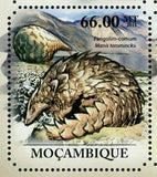 Pangolins & Aardvarks Manis Temminckii Orycteropus After S/S MNH #4959-4964