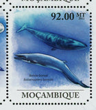 Whales Stamp Feresa Attenuata Balaenoptera Borealis Orcinus Orca S/S MNH #5008