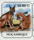 Wild Cats Stamp Caracal Caracal Acinonyx Jubatus Souvenir Sheet MNH #5015-5020