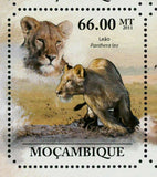 Lions Stamp Panthera Leo Wild Animal Zebra Souvenir Sheet MNH #5029-5034