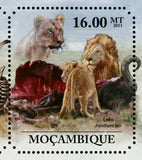 Lions Stamp Panthera Leo Wild Animal Zebra Souvenir Sheet MNH #5029-5034