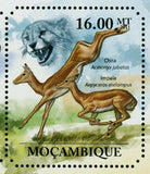 Antelopes Stamp Gazelle Impala Oryx Taurotragus Connochaetes S/S MNH #4952-4957