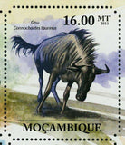 Antelopes Stamp Gazelle Impala Oryx Taurotragus Connochaetes S/S MNH #4952-4957