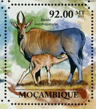 Antelopes Stamp Gazelle Impala Oryx Taurotragus Connochaetes S/S MNH #4952-4957