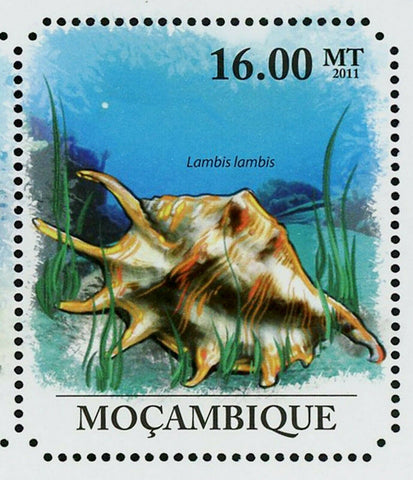 Shells Stamp Mauritia Arabica Chicoreus Ramosus Seashell S/S MNH #4840-4845