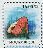 Shells Stamp Mauritia Arabica Chicoreus Ramosus Seashell S/S MNH #4840-4845