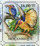 Kingfishers Stamp Ceryle Rudis Halcyon Senegalensis S/S MNH #4861-4866