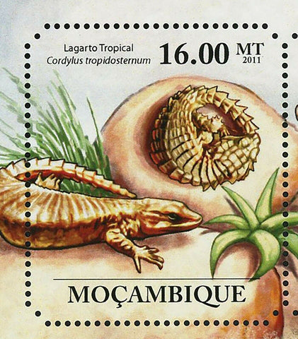 Lizards Stamp Tropical Emperator Platysaurus Intermedius S/S MNH #4854-4859