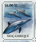 Dolphins Stamp Golfino Branco Chinese Tursiops Truncatus S/S MNH #5001-5006