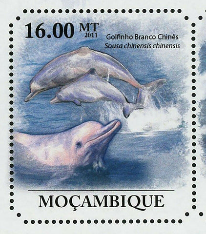 Dolphins Stamp Golfino Branco Chinese Tursiops Truncatus S/S MNH #5001-5006