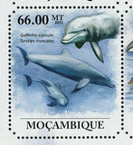 Dolphins Stamp Golfino Branco Chinese Tursiops Truncatus S/S MNH #5001-5006