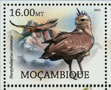 Birds of Prey Stamp Buteo Jamaicensis Haliaeetus Vociferoides S/S MNH #5775-5780