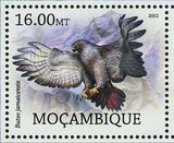 Birds of Prey Stamp Buteo Jamaicensis Haliaeetus Vociferoides S/S MNH #5775-5780