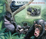 Monkeys Stamp Gorilla Beringei Pan Paniscus Pan Troglodytes S/S MNH #5830/Bl.639