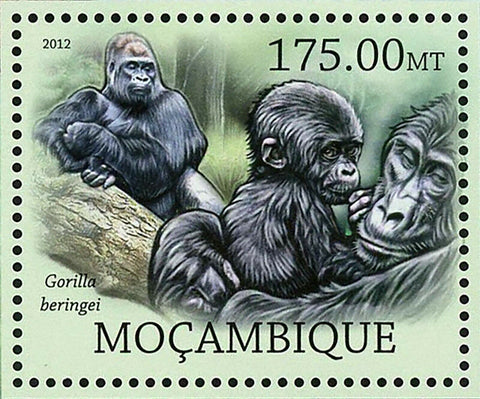 Monkeys Stamp Gorilla Beringei Pan Paniscus Pan Troglodytes S/S MNH #5830/Bl.639