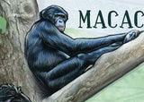 Monkeys Stamp Gorilla Beringei Pan Paniscus Pan Troglodytes S/S MNH #5830/Bl.639