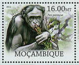 Monkeys Stamp Pan Paniscus Gorilla Beringei Pan Troglodytes S/S MNH #5824-5829