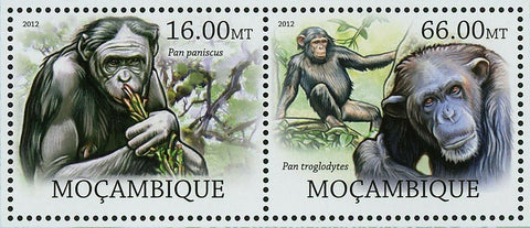 Monkeys Stamp Pan Paniscus Gorilla Beringei Pan Troglodytes S/S MNH #5824-5829