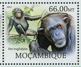Monkeys Stamp Pan Paniscus Gorilla Beringei Pan Troglodytes S/S MNH #5824-5829