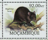 Rodents Stamp Pseudomys Gouldii Megalomys Luciae Souvenir Sheet MNH #5692-5699