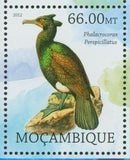 Birds Stamp Fregilupus Varius Porphyrio Mantelli Amazona Violacea S/S MNH #5732