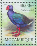 Birds Stamp Fregilupus Varius Porphyrio Mantelli Amazona Violacea S/S MNH #5732