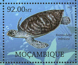 Turtle Stamp Platysternon Megacephalum Eretmochelys Imbricata S/S MNH #5665-5672