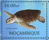 Turtle Stamp Platysternon Megacephalum Eretmochelys Imbricata S/S MNH #5665-5672