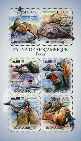 Seals Stamp Mirounga Leonina Arctocephalus Pusillus S/S MNH #4966-4971