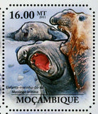 Seals Stamp Mirounga Leonina Arctocephalus Pusillus S/S MNH #4966-4971