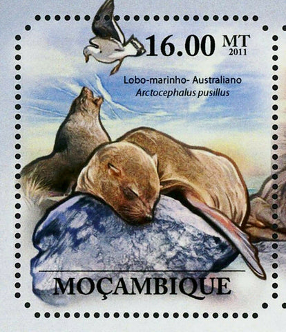 Seals Stamp Mirounga Leonina Arctocephalus Pusillus S/S MNH #4966-4971