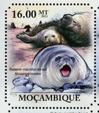 Seals Stamp Mirounga Leonina Arctocephalus Pusillus S/S MNH #4966-4971