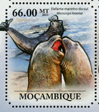 Seals Stamp Mirounga Leonina Arctocephalus Pusillus S/S MNH #4966-4971
