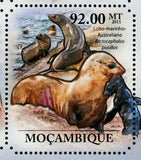 Seals Stamp Mirounga Leonina Arctocephalus Pusillus S/S MNH #4966-4971