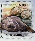 Seals Stamp Mirounga Leonina Arctocephalus Pusillus S/S MNH #4966-4971