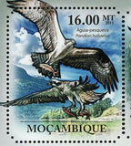 Ospreys Stamp Hawk Bird Pandion Haliaetus Souvenir Sheet MNH #4917-4922