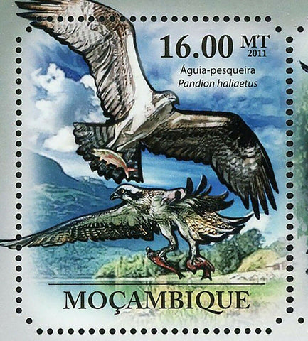 Ospreys Stamp Hawk Bird Pandion Haliaetus Souvenir Sheet MNH #4917-4922