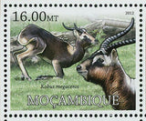 Ungulates Stamp Equus Hemionus Bubalus Depressicornis S/S MNH #5674-5681