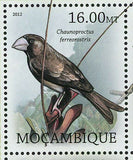 Birds Stamp Rhodacanthis Flaviceps Zoothera Terrestris Fregilus MNH #5710-5717