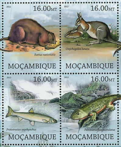 Animals of Oceania Stamp Rattus Nativitatis Mystacina Robusta S/S MNH #5701-5708