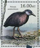 Birds Stamp Quiscalus Palustris Gallirallus Wakensis S/S MNH #5718-5725