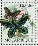 Butterflies Stamp Speyeria Zerene Myrtleae Pterourus Homerus S/S MNH #5656-5663