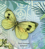 Butterflies Stamp Ornithoptera Meridionalis Pieris Brassicae Wollastoni S/S MNH