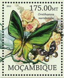 Butterflies Stamp Ornithoptera Meridionalis Pieris Brassicae Wollastoni S/S MNH