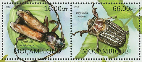 Cockroaches Stamp Crotchiella Brachyptera Polposipus Herculeanus S/S MNH #5747