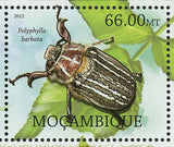 Cockroaches Stamp Crotchiella Brachyptera Polposipus Herculeanus S/S MNH #5747