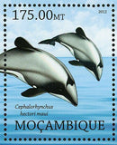 Dolphins Stamp Cephalorhynchus Hectori Maui Platanista Gangetica S/S MNH #5823