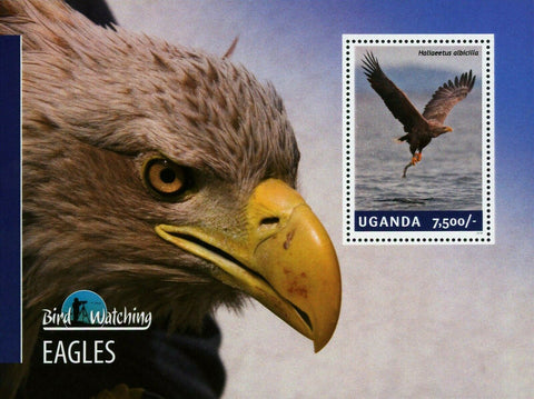 Eagles Stamp Bird Haliaeetus Albicilla Souvenir Sheet MNH #3264 / Bl.459