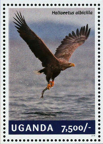 Eagles Stamp Bird Haliaeetus Albicilla Souvenir Sheet MNH #3264 / Bl.459